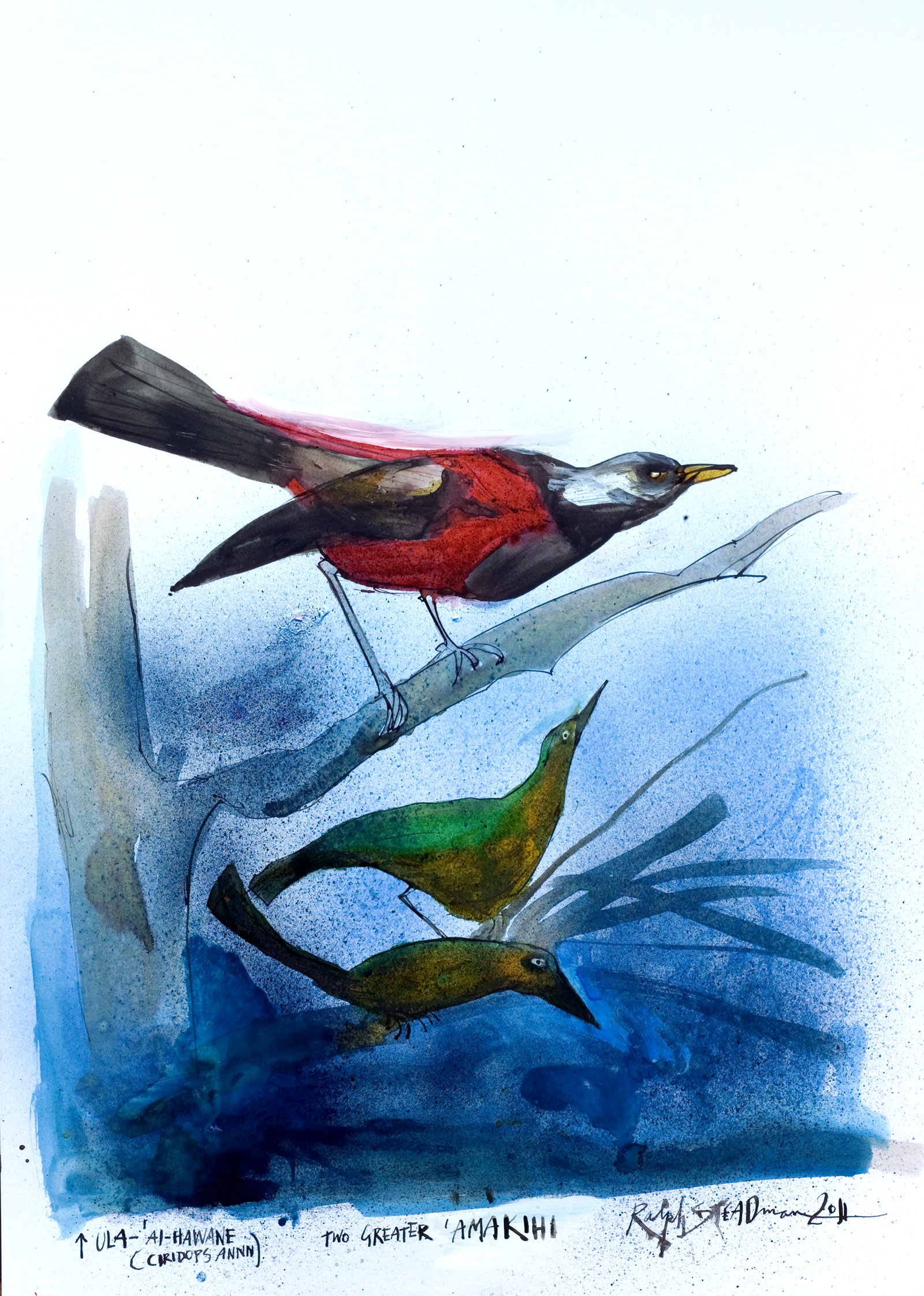 Illustrations of extinct birds by Ralph Steadman for his his first collaboration with Gonzovationist, Ceri Levy