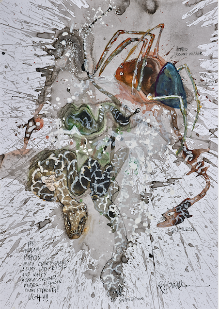Spiders and Snakes from Critical Critters by Ralph Steadman and Ceri Levy